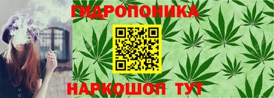 МДПВ Заводоуковск